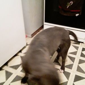 Meet your Posher, Catherine